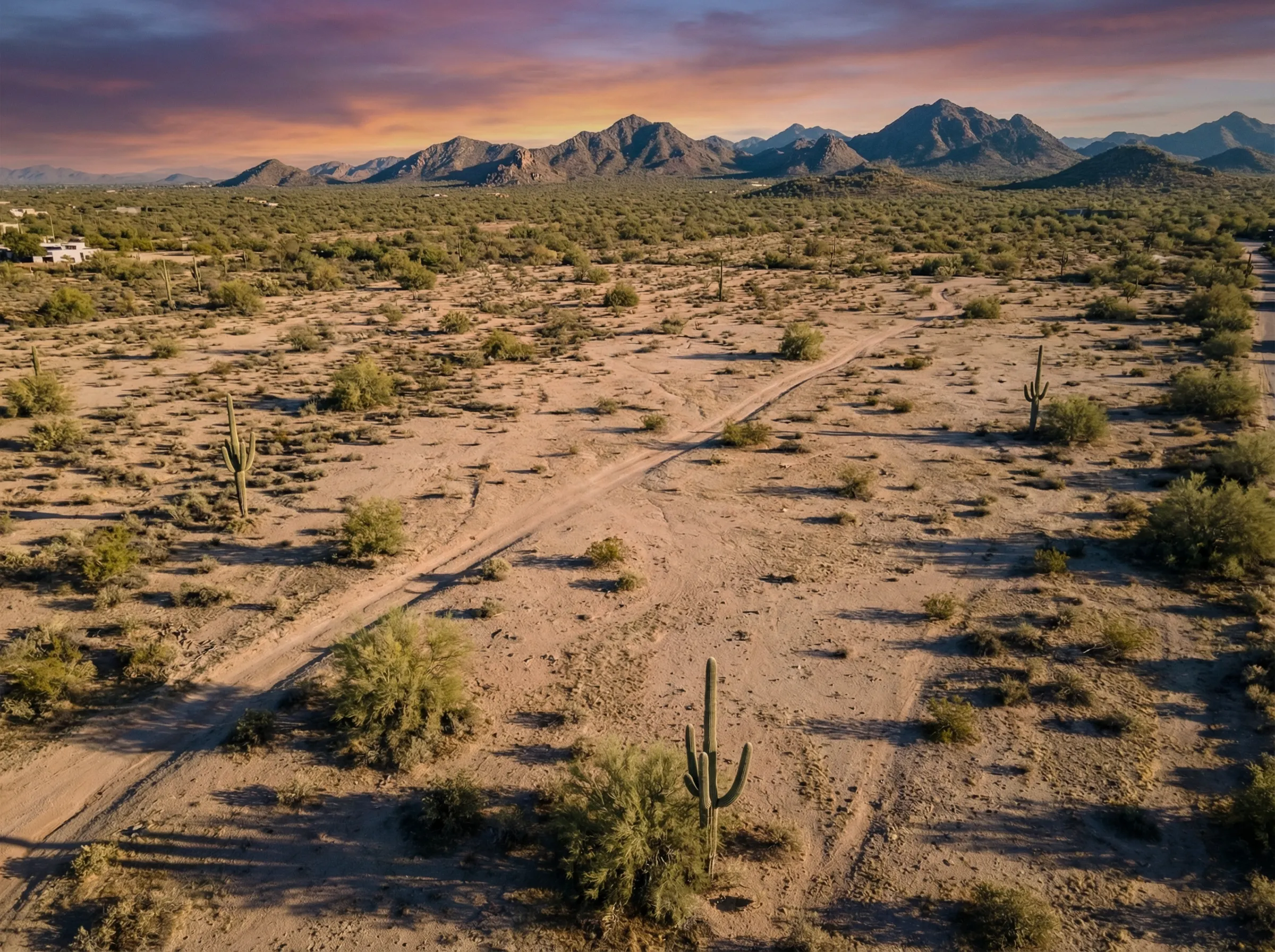 Investment opportunities